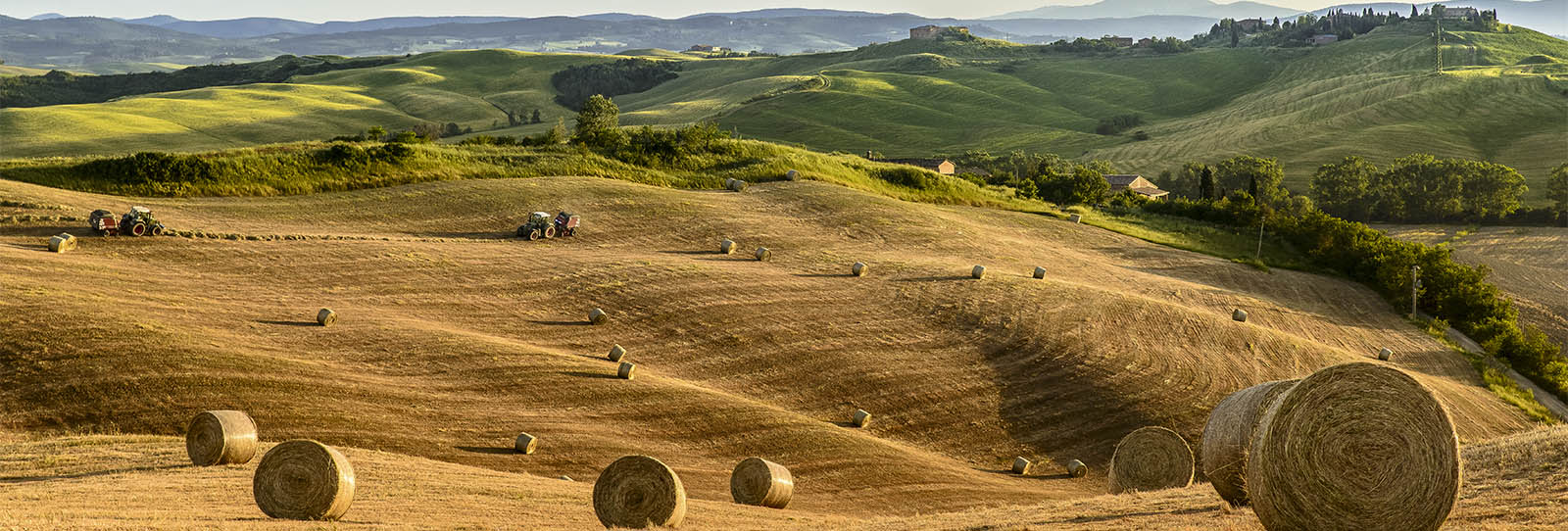 Agriculture/Hay Baling