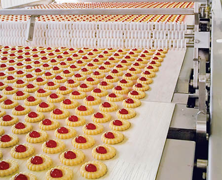 Food Processing Industry